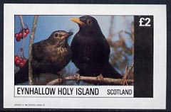 Eynhallow 1982 Birds #16 (Blackbird) imperf deluxe sheet (£2 value) unmounted mint