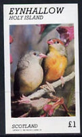 Eynhallow 1982 Love Birds imperf souvenir sheet (£1 value) unmounted mint