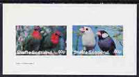 Staffa 1982 Birds #35 imperf,set of 2 values (40p & 60p) unmounted mint