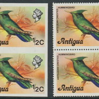 Antigua 1976 Crested Hummingbird 1/2c (without imprint) unmounted mint imperforate pair plus normal pair (SG 469Avar)