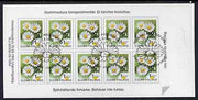 Finland 1995 Provincial Plants (Daisy) 1k self-adhesive in complete sheetlet of 10 with first day commemorative cancel, SG 1391