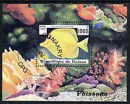 Guinea - Conakry 1997 Fish m/sheet cto used