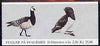 Booklet - Norway 1983 Birds (4th series) 25k booklet complete and pristine, SG SB68