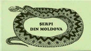 Booklet - Moldova 1993 WWF Protected Animals (Snakes) 104r booklet complete and pristine (contains 2 complete sets)