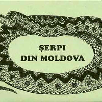 Moldova 1993 WWF Protected Animals (Snakes) 104r booklet complete and pristine (contains 2 complete sets)