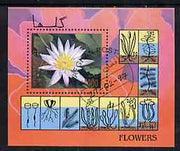 Afghanistan 1997 Wild Flowers perf miniature sheet cto used