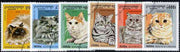 Cambodia 1997 Domestic Cats complete set of 6 values cto used