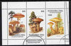 Touva 1997 Mushrooms perf sheetlet containing complete set of 3 values cto used
