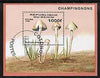 Benin 1996 Mushrooms m/sheet (1000f value) cto used Mi BL 22