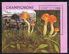 Guinea - Conakry 1996 Fungi perf m/sheet fine cto used
