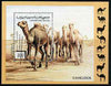 Sahara Republic 1996 Camels perf set of 6 very fine cto used*
