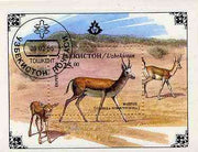 Uzbekistan 1996 Antelope perf miniature sheet cto used