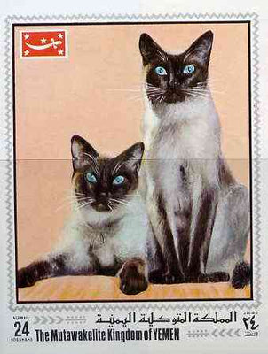 Yemen - Royalist 1970 Cats 24B imperf m/sheet unmounted mint, Mi BL 201