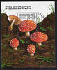 Benin 1997 Mushrooms perf miniature sheet cto used, SG MS1690