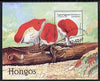 Sahara Republic 1997 Mushrooms perf miniature sheet cto used