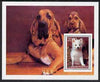 Turkmenistan 1997 Dogs perf souvenir sheet