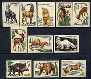 Match Box Labels - set of 11 Animals from Wild Animals & Birds set of 24, superb unused condition (Czechoslovakian from 1961)