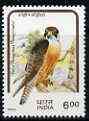 India 1992 Birds of Prey 6r Falcon unmounted mint with yellow plumage (dry print of red) plus normal, SG 1526var