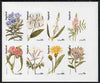Nagaland 1974 Flowers complete imperf set of 8 values (5c to 75c) unmounted mint