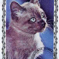 Equatorial Guinea 1978 Domestic Cats 400ek imperf m/sheet (Mixed Breed) cto used