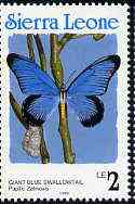 Sierra Leone 1991 Butterflies 2L (Papilio zalmoxis) with Country name in blue P14 unmounted mint, SG 1662
