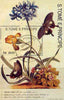 St Thomas & Prince Islands 1998 Butterflies perf miniature sheet cto used