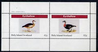 Eynhallow 1982 Water Birds perf,sheetlet containing complete set of 2 values (40p & 60p) unmounted mint
