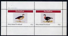 Eynhallow 1982 Water Birds perf,sheetlet containing complete set of 2 values (40p & 60p) unmounted mint