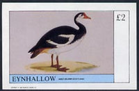 Eynhallow 1982 Water Birds imperf,deluxe sheet (£2 value) unmounted mint