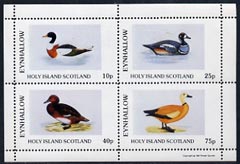 Eynhallow 1981 Ducks #2 perf,set of 4 values (10p to 75p) unmounted mint