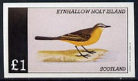 Eynhallow 1982 Birds #17 imperf,souvenir sheet (£1 value) unmounted mint