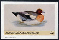 Bernera 1982 Ducks #4 imperf,deluxe sheet (£2 value) unmounted mint