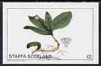 Staffa 1982 Flowers #08 imperf,deluxe sheet (£2 value) unmounted mint