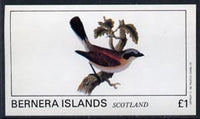 Bernera 1982 Birds #09 imperf,souvenir sheet (£1 value) unmounted mint