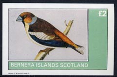 Bernera 1982 Birds #09 imperf,deluxe sheet (£2 value) unmounted mint