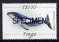 Tonga 1989 Humpback Whale 1$50 unmounted mint overprinted SPECIMEN, as SG 1014