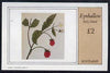 Eynhallow 1982 Fruit (Raspberry) imperf,deluxe sheet (£2 value) unmounted mint