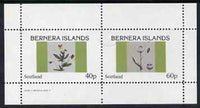 Bernera 1982 Flowers #05 perf,set of 2 values (40p & 60p) unmounted mint