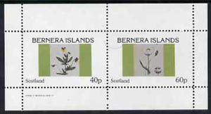 Bernera 1982 Flowers #05 perf,set of 2 values (40p & 60p) unmounted mint