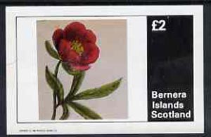 Bernera 1982 Flowers #05 imperf,deluxe sheet (£2 value) unmounted mint