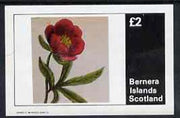 Bernera 1982 Flowers #05 imperf,deluxe sheet (£2 value) unmounted mint