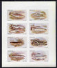 Nagaland 1973 Fish (Trout, Salmon, Sturgeon, Eels, etc) imperf,set of 8 values opt'd FISH PRESERVATION 1973 unmounted mint