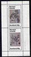 Bernera 1982 Plants #1 perf set of 2 values (40p & 60p) unmounted mint