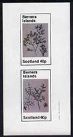 Bernera 1982 Plants #1 imperf set of 2 values (40p & 60p) unmounted mint