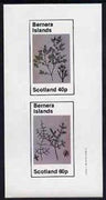 Bernera 1982 Plants #1 imperf set of 2 values (40p & 60p) unmounted mint