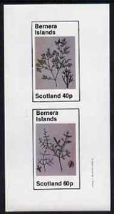 Bernera 1982 Plants #1 imperf set of 2 values (40p & 60p) unmounted mint