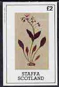 Staffa 1982 Flowers #10 imperf,deluxe sheet (£2 value) unmounted mint
