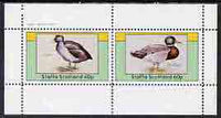 Staffa 1982 Water Birds #04 (Coot & Mallard) perf,set of 2 values (40p & 60p) unmounted mint