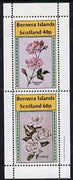 Bernera 1981 Roses (American Pillar & Iceberg) perf,set of 2 values (40p & 60p) unmounted mint