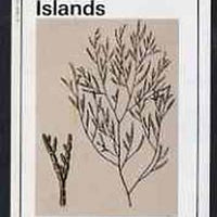 Bernera 1982 Plants #1 imperf deluxe sheet (£2 value) unmounted mint